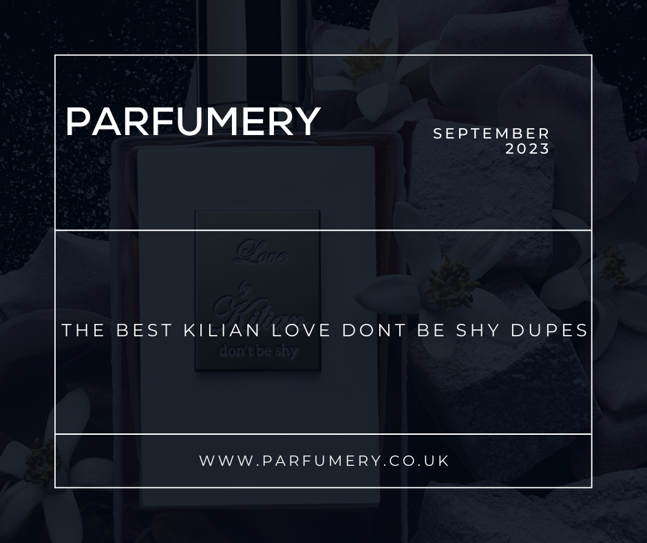 Best Kilian Love Dont Be Shy Dupes– Parfumery LTD