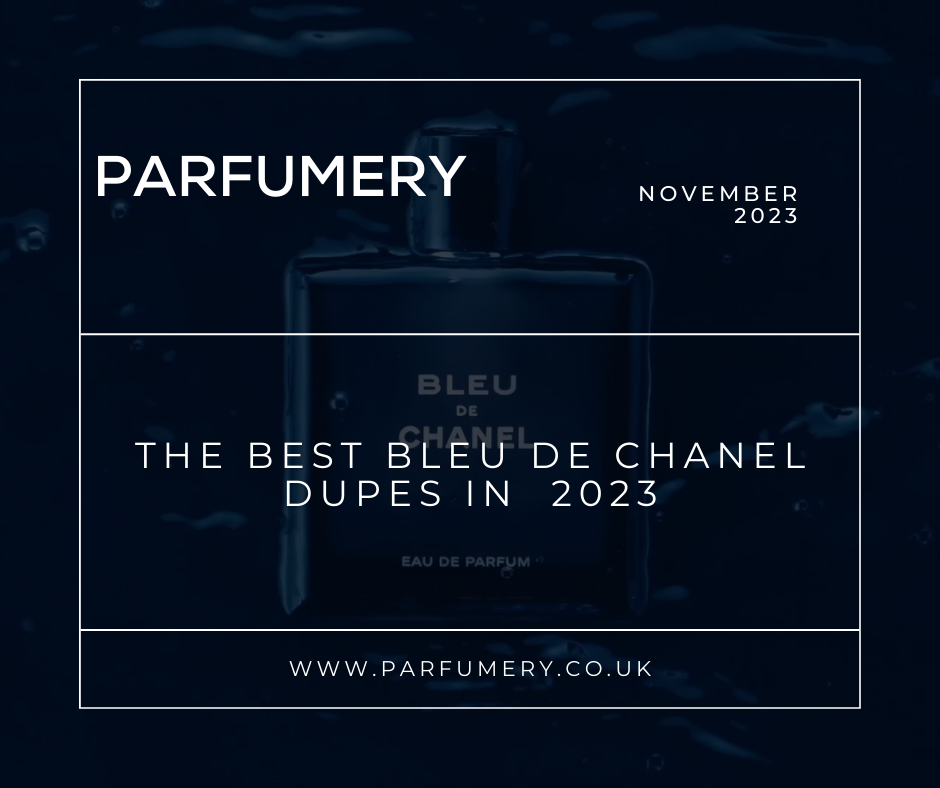 The Best Bleu De Chanel Dupes in 2024