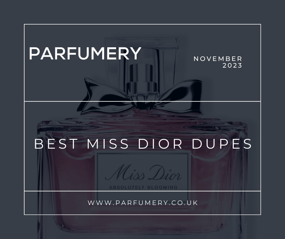 The Best Miss Dior Perfume Dupes & Alternatives– Parfumery LTD