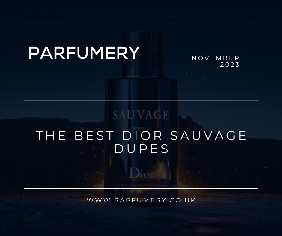 The Best Dior Sauvage Dupes & Alternatives 2024– Parfumery LTD