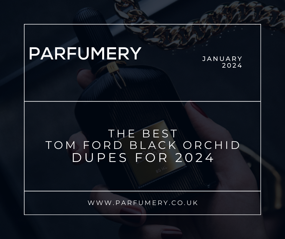 The Best Tom Ford Black Orchid Dupe & Alternatives (2024) Parfumery LTD