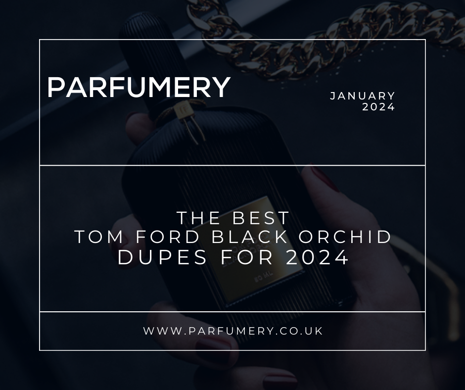 The Best Tom Ford Black Orchid Dupe & Alternatives 2024