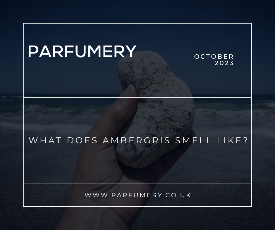 What Does Ambergris Smell Like?– Parfumery LTD