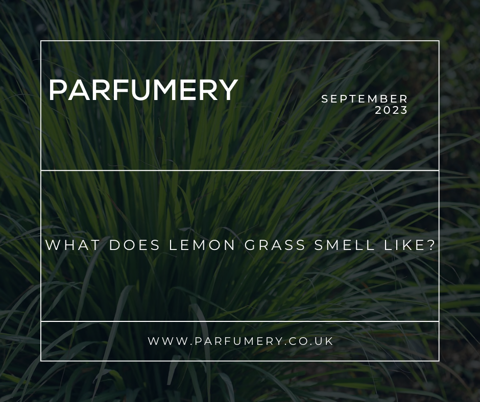 What Does Lemon Grass Smell Like?