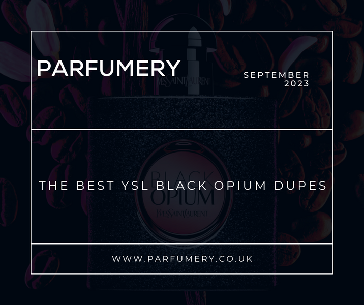 7 Spot-On Black Opium Dupes: Designer Fragrance On A Budget