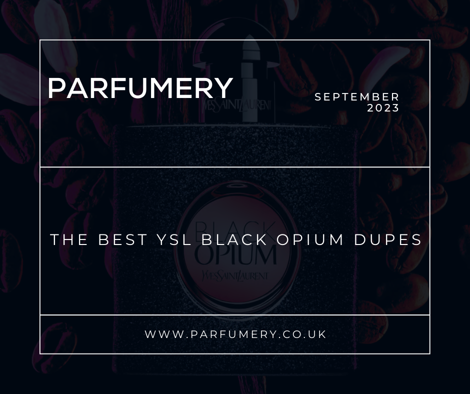 The Best YSL Black Opium Dupes